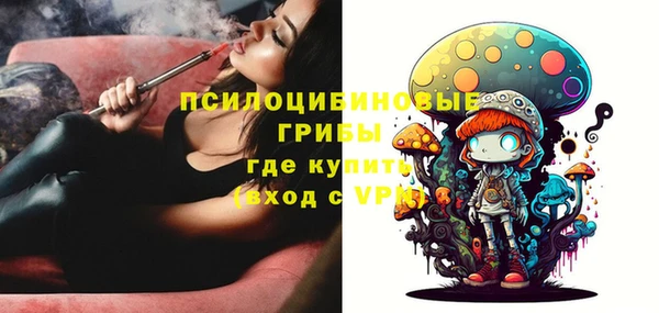ешки Козловка