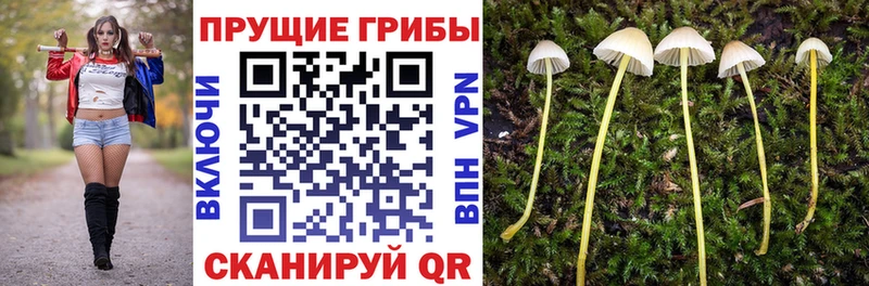 Псилоцибиновые грибы MAGIC MUSHROOMS  Купить закладки  Кудымкар 